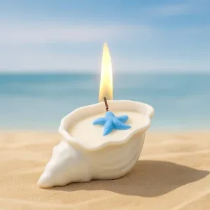 Nến thơm sò - Nến thơm decor handmade