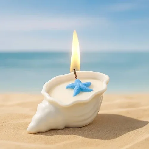 Nến thơm sò - Nến thơm decor handmade